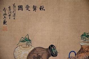 真人牲交视频,背后真相与伦理争议